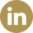 Logo Linkedin